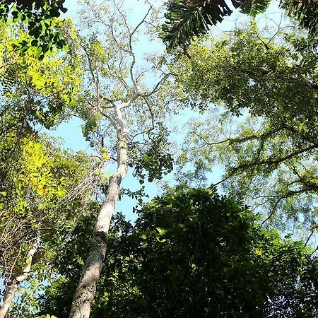 Misahualli Amazon Lodge Tena Buitenkant foto