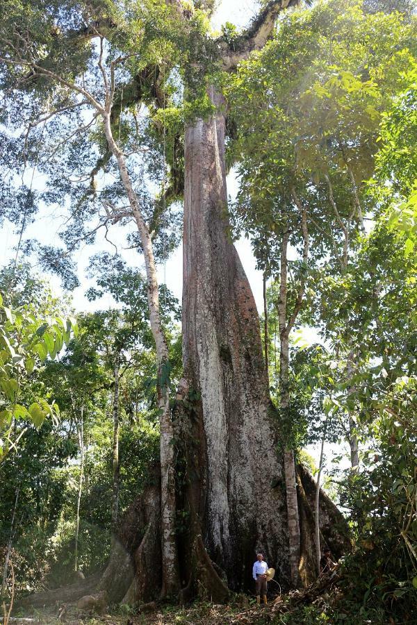 Misahualli Amazon Lodge Tena Buitenkant foto