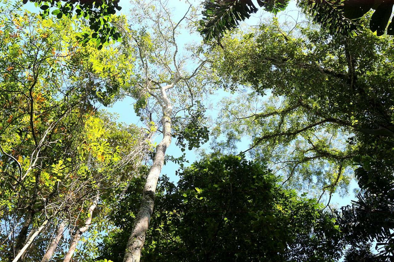 Misahualli Amazon Lodge Tena Buitenkant foto